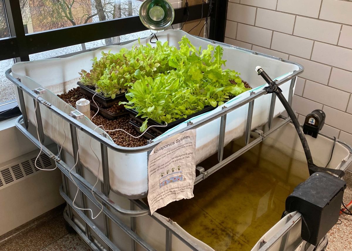 what is Aquaponics?