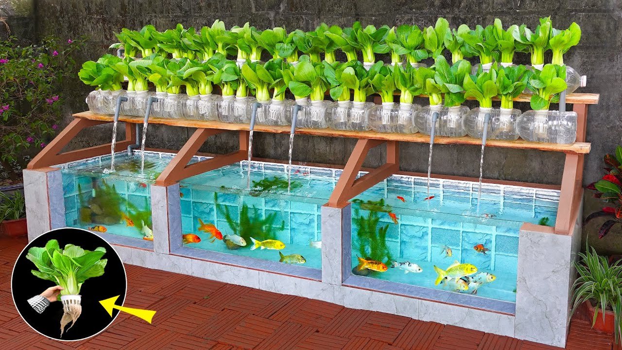 Hydro fish tank