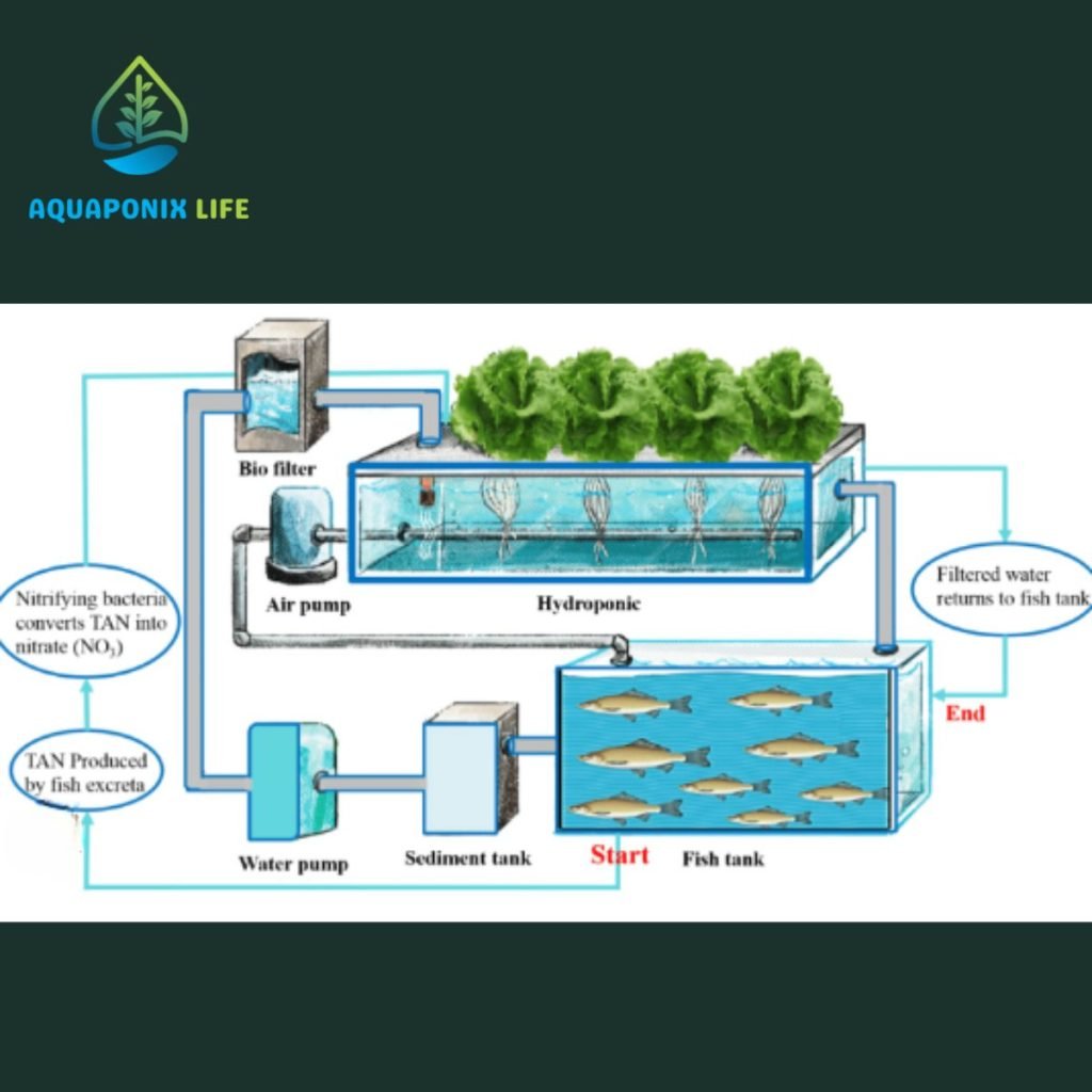 Aquaponics component Overview