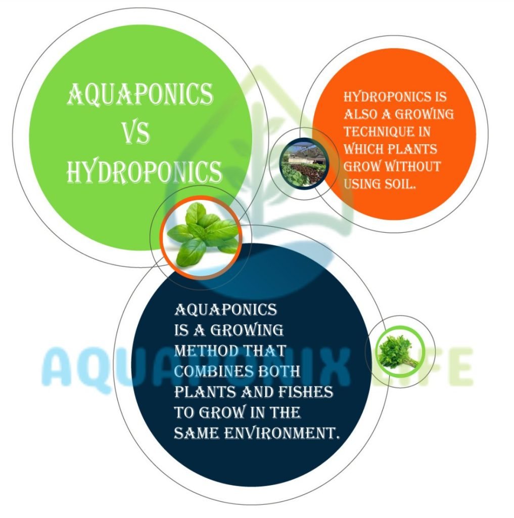 hydroponics vs aquaponics pros and cons