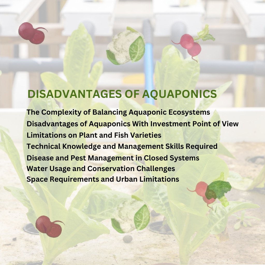 Cons of Aquaponics 