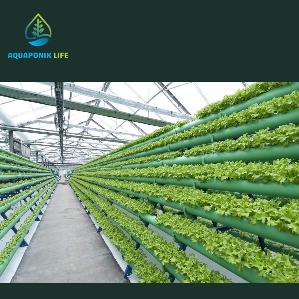 Role of Aquaponics