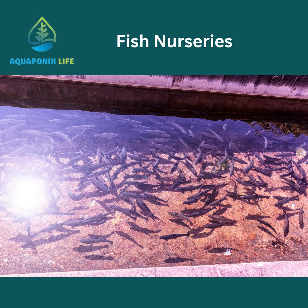 fish nurseries