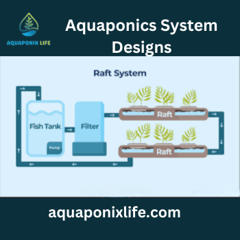 Aquaponics System Design