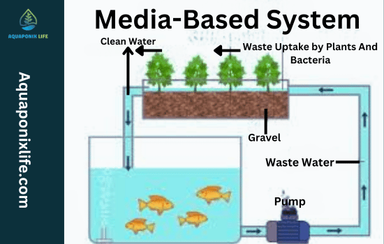 Media Based System